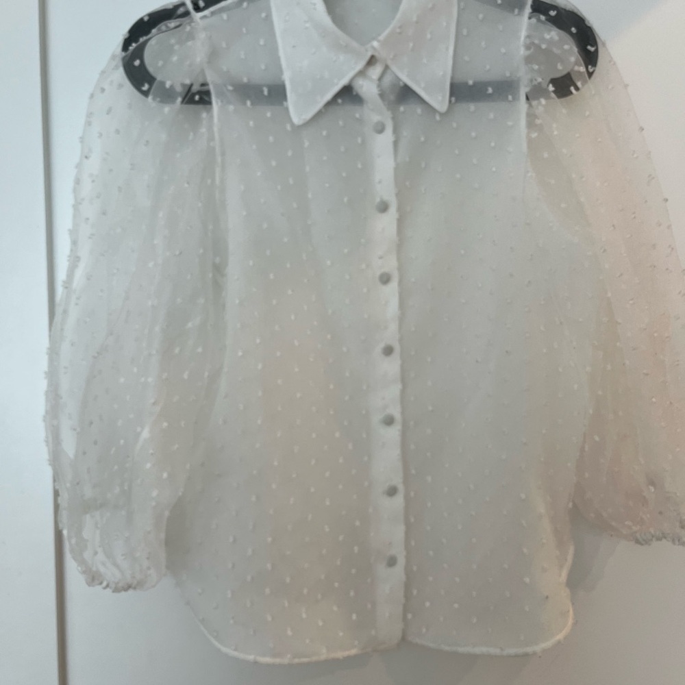 Zara Sheer White Polka Dot Blouse